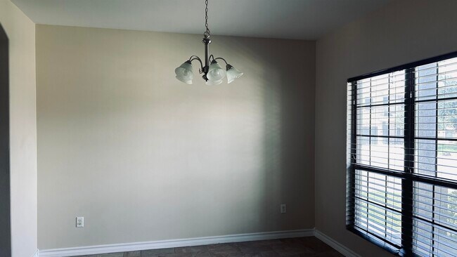 332 Silverleaf Oak