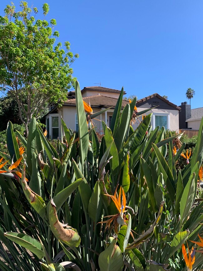Vista de la calle