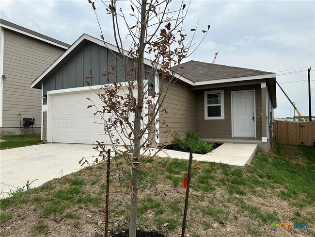 Photo - 537 Autumn Blaze