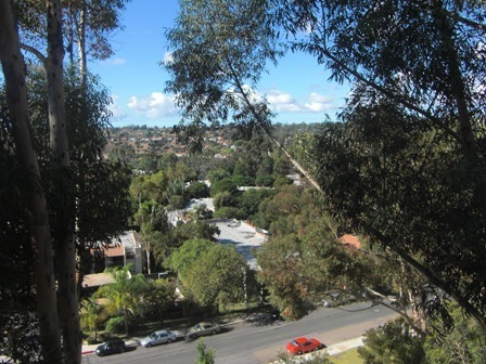 Tierrasanta View Duplex! 2 bdrm + 1bdrm/of... - Tierrasanta View Duplex! 2 bdrm + 1bdrm/of... Casa