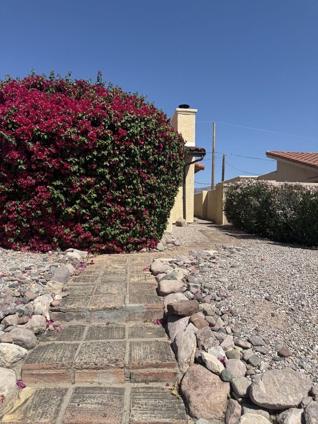 Photo - 9870 E La Palma Ave Unit 9870 E LA PALM #4