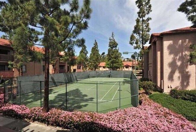 12071 Alta Carmel Ct Unit 81