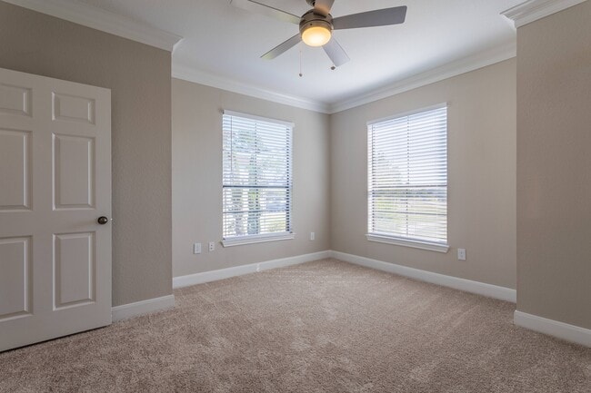 Large Windows in Primary Bedroom