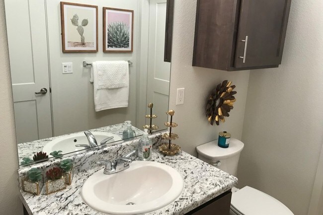 Photo - Campus Walk Chico