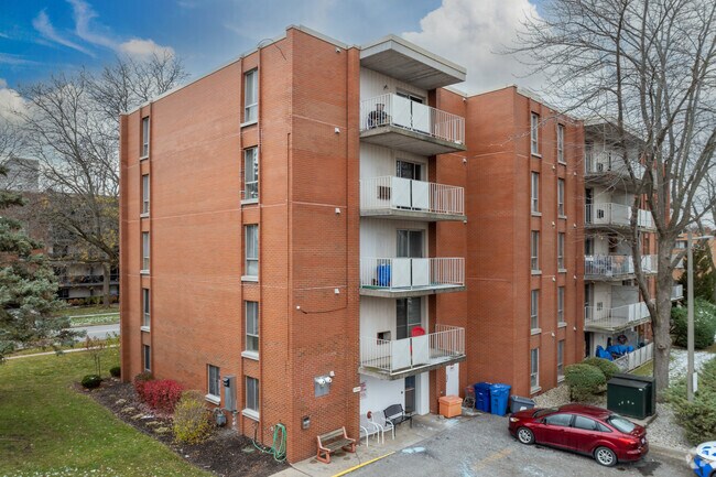 Photo - Spanish Trio