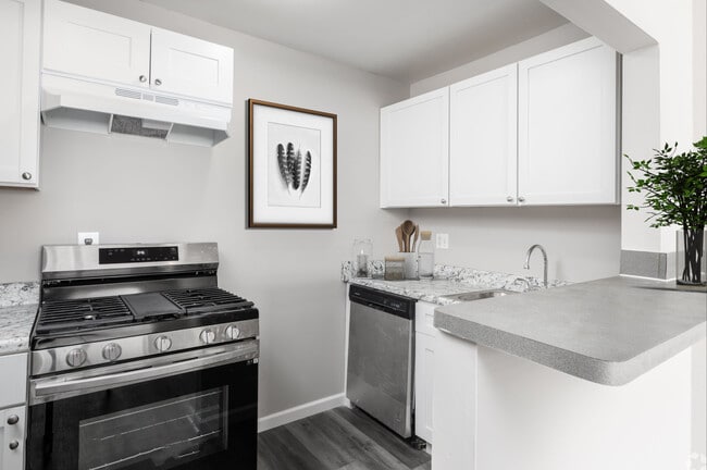 Photo - Village Court