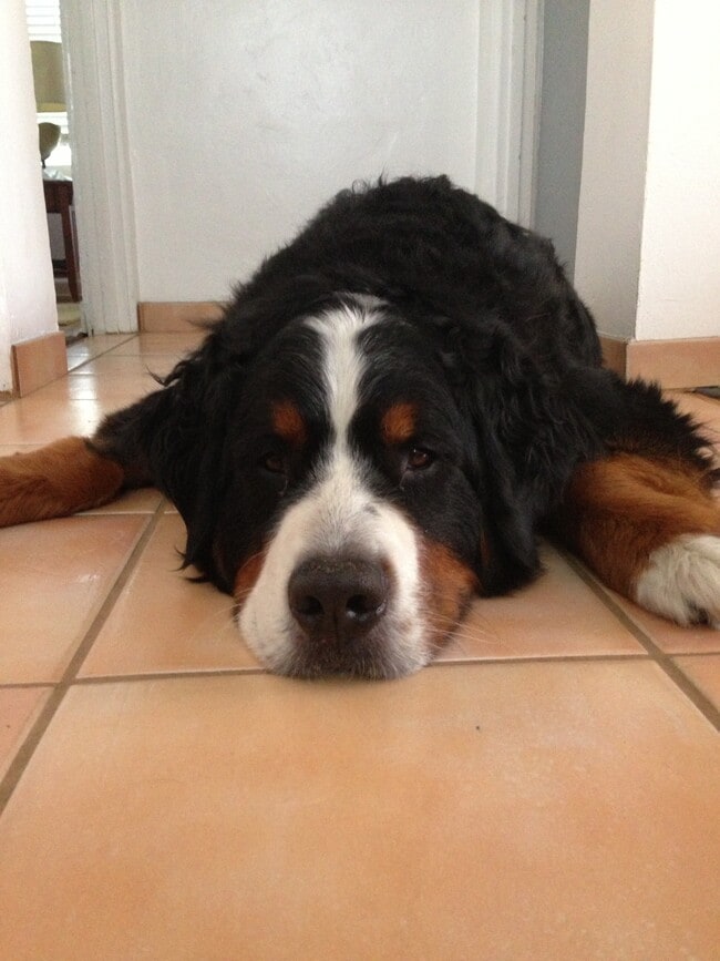 Photo - 1036 Felspar St