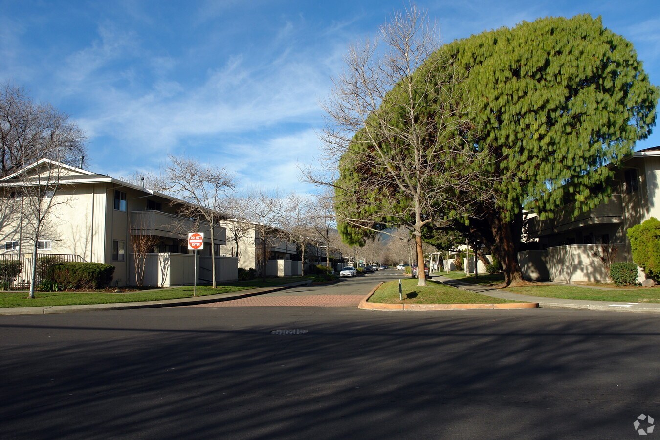 Orchard Maples Apartments - Orchard Maples Apartments