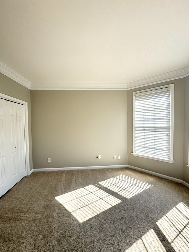 Photo - 137 Towne Park Dr