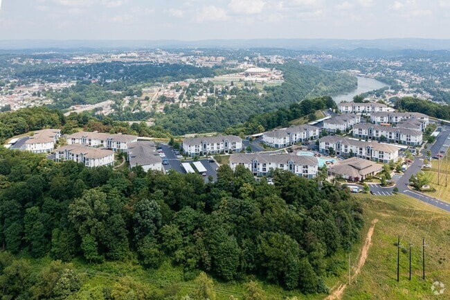 Aerial - Domain at Town Centre (new)