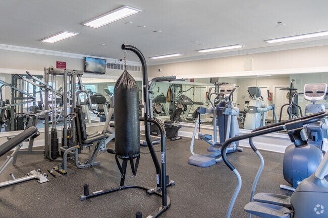 Gimnasio