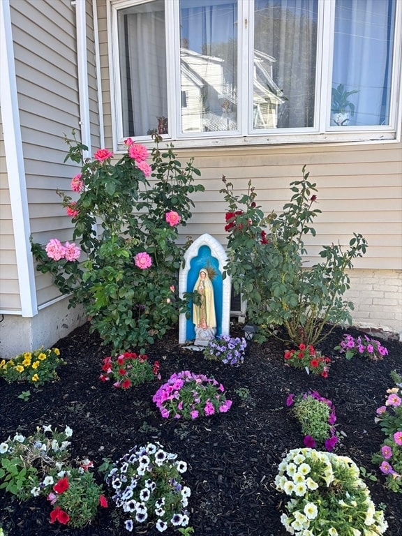 Photo - 49 Furness St