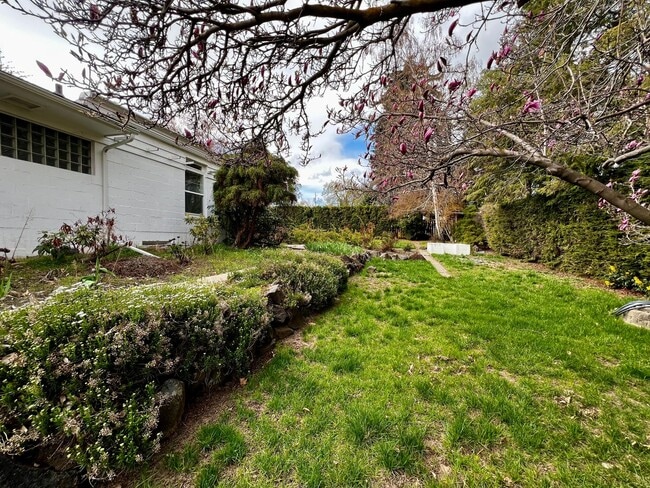 Photo - Non-Refundable & Security Deposit Total: $3000.00