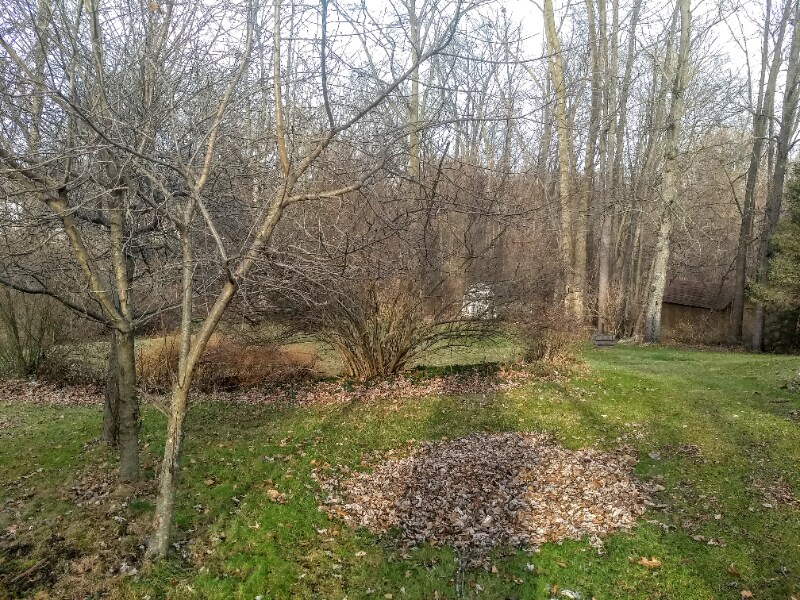 Photo - 16351 Petro Dr