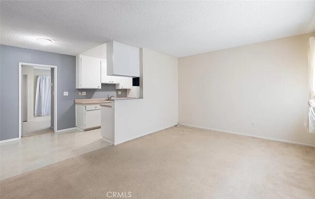 Photo - Shadi Abouseif