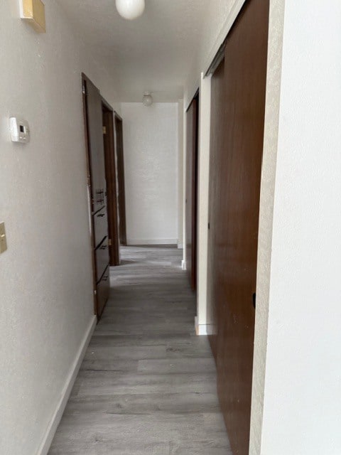 Photo - 1410 Hamilton Ave