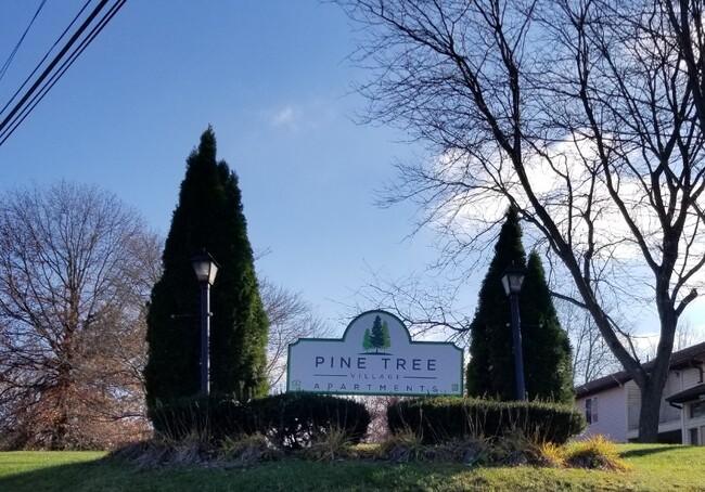 Pine Tree Village Apartments - Pine Tree Village Apartments