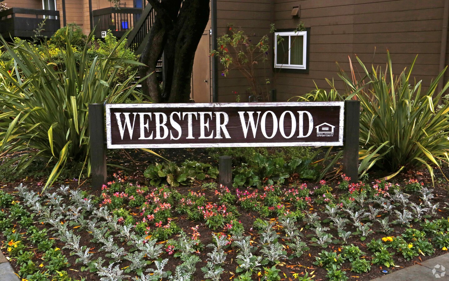 Photo - Webster Wood Apartments
