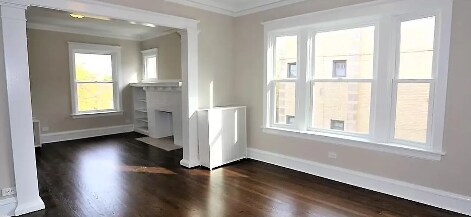 Photo - 1 bedroom in Chicago IL 60640 Unidad 2S