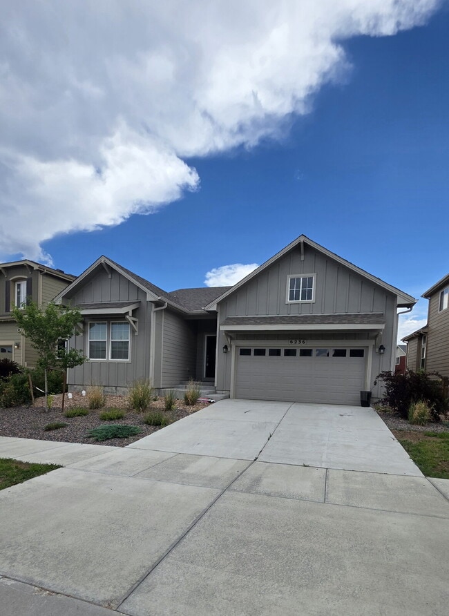 Building Photo - 5 bedroom 3 bath in Banning Lewis Ranch style home