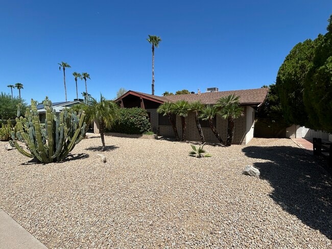 Photo - 3924 E Yucca St