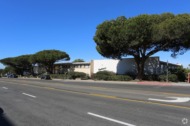 Pine Terrace Apartments - PTerrace
