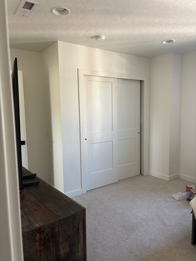 Bedroom Closet - 6619 Mountain Alder Way